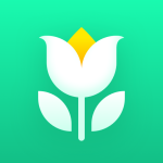 Plant Parent: Plant Care Guide